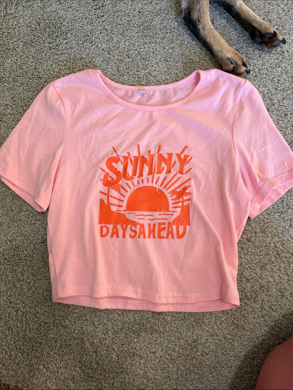 Amazon Pink Crop Top with Orange 'Sunny Days Ahead' Graphic